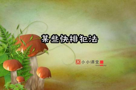 SEO界宣传的快排也许是违法手段哦 _什么是搜索引擎优化