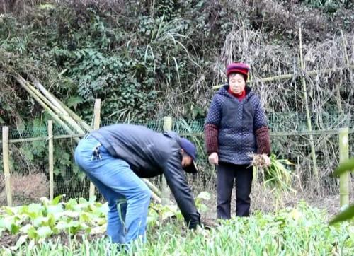 从山坳里的老屋到白墙灰瓦江南小楼 贫困户“下