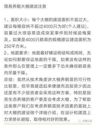 简易养鹅大棚建设方法