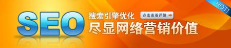 [SEO教程]搜索指令