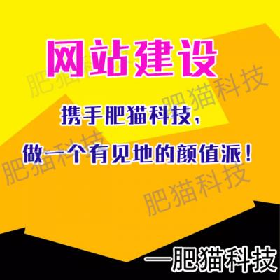 肥猫科技：如何选择网站建设公司？