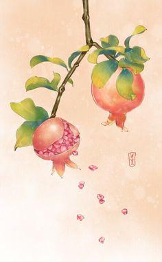 想画石榴先看石榴花长什么样？