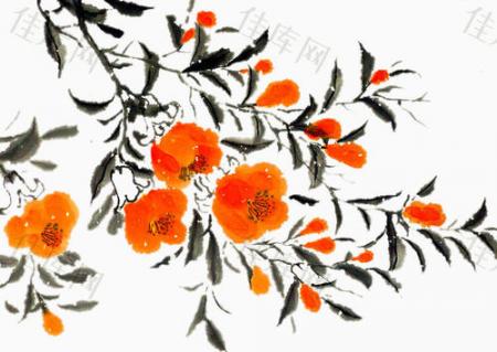 想画石榴先看石榴花长什么样？