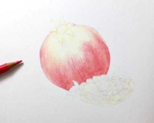 彩铅教程 | 画一个红红的大石榴