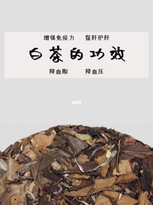  白茶是什么茶（白茶的功效及作用） 互联百科 第2张