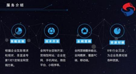 公司全网营销策略|北京圣蓝途
