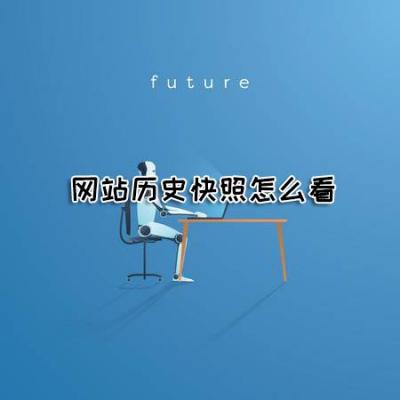 怎么查看域名历史快照