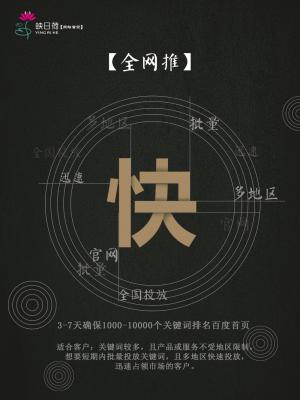 成都网站优化