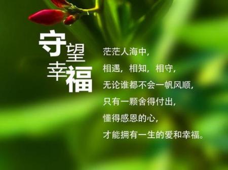 这些年 金锤子工长平台举办过的年会……