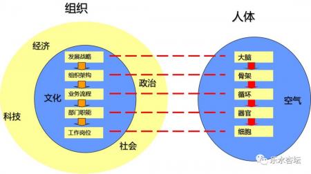 OD：文化诊断量度老板的性格......