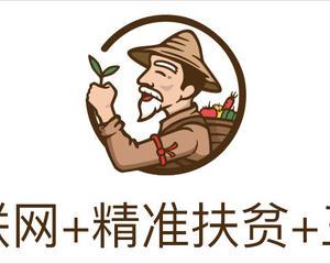 互联网最大的机会在三农发展互联网农业要走