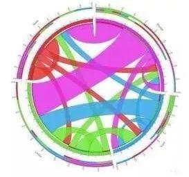 云课堂（5） | Circos画图入门教程