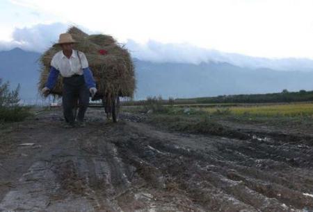 穷人怎样赚钱农村小项目推荐想赚钱的看过来! 互联百科 第3张 穷人怎样赚钱农村小项目推荐想赚钱的看过来! 互联百科 第3张