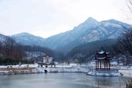 昨天一场雪后驻马店就美成了仙界...今天还有