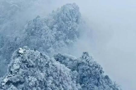 昨天一场雪后驻马店就美成了仙界...今天还有