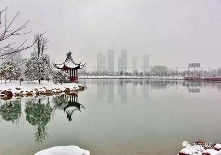 昨天一场雪后驻马店就美成了仙界...今天还有