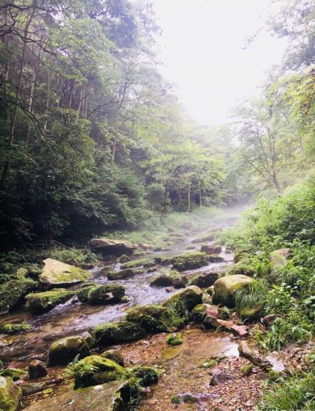 张家界旅游怎么样？张家界旅游旺季?