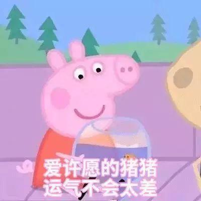最新！可互换居住！九江公租房这项规则出炉！
