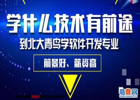  现在学什么技术赚钱（这个完全无需技术的挣钱方法） 互联百科 第2张