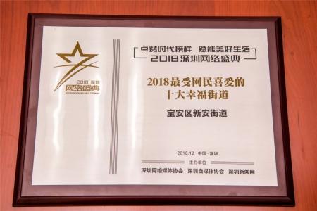厉害了大新安！深圳网络盛典新安捧回两座大奖