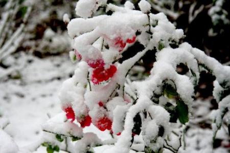 “今天下雪了”不能说It snows today！这是错的！