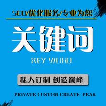 网站优化,关键词排名,快速获得排名