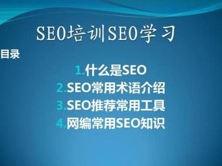 【intitle:seo培训】实战SEO赚钱项目培训