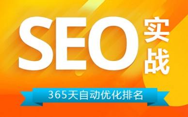 [湘潭seo]湘潭seo告诉你谁才是seo界的霸主-SEO技术培训