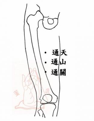 董氏针灸网络培训课程之【通关穴】