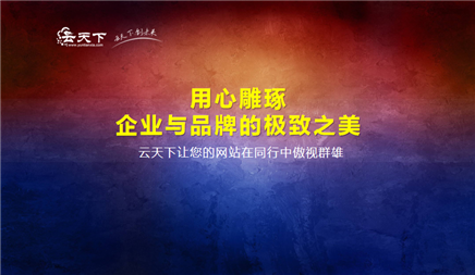 优化公司